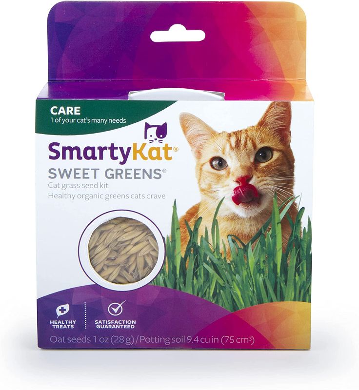 Photo 1 of 2 COUNT SmartyKat Sweet Greens Organic Oat Grass Cat Grass Grow Kit