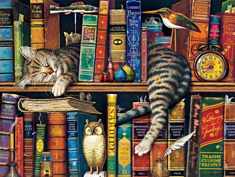 Photo 1 of Cat Puzzle in 1000 Books Sleeping cat Puzzle on Bookshelf Charles visok Literati Frederick Indoor Entertainment Education Family Puzzle Children's Day Gift Product Size: 26.5X 26.5 inches