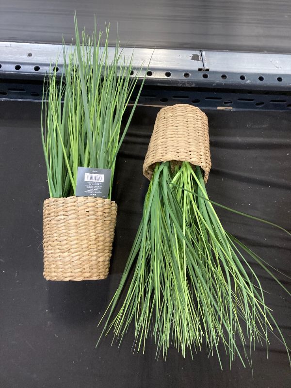 Photo 2 of (2)Small Potted Grass in Basket - Threshold