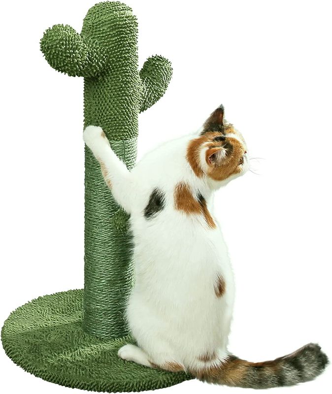 Photo 1 of  Cat Scratching Post - The Original Cactus Cat Scratcher Made of Natural Sisal with Teaser Ball Toy for All Ages, Indoor Outdoor Cats, Kittens and Adults
