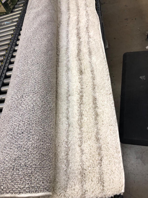 Photo 1 of 9 x 12 GREY AND WHITER INDOOR AREA RUG -------- NEEDS CLEANING