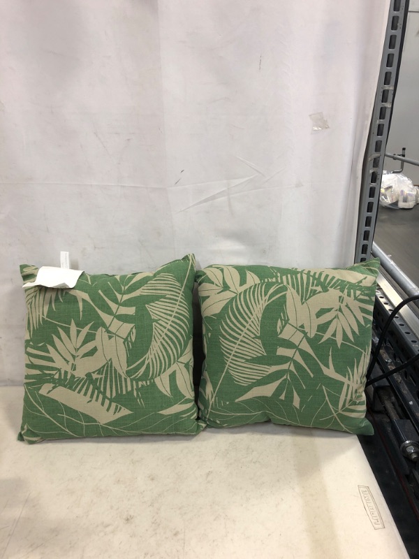 Photo 1 of 2 COUNT DECORATIVE PILLOW 