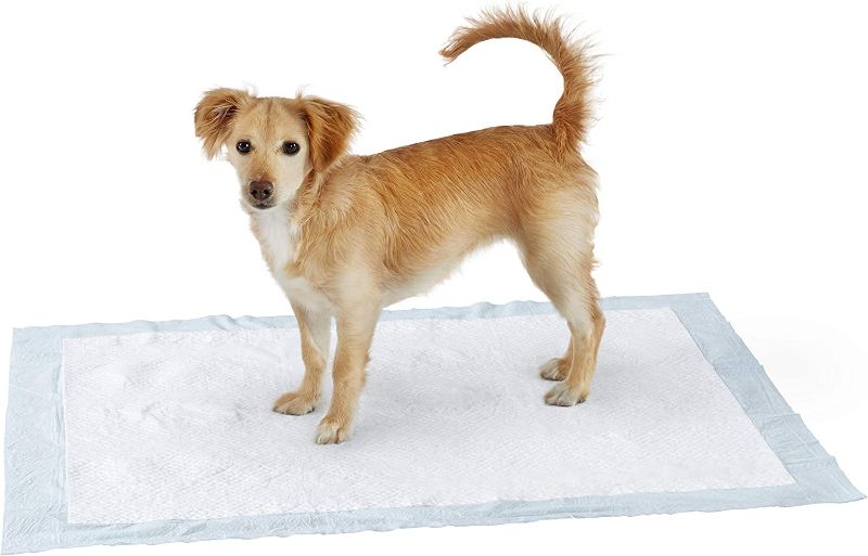 Photo 1 of Amazon Basics Dog and Puppy Pee Pads with Leak-Proof Quick-Dry Design for Potty Training, Standard Absorbency, X-Large, 28 x 34 Inches - Pack of 60
