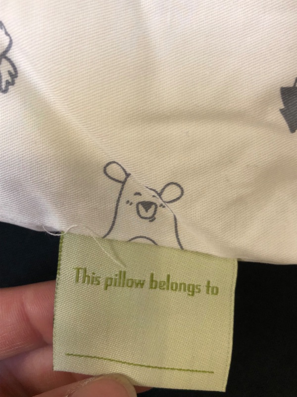 Photo 1 of BABY / TODDLER PILLOW 