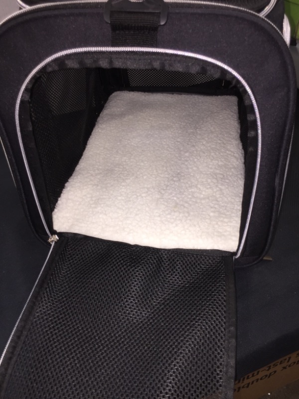 Photo 2 of BAGLHER 4 SIDED MESHED PET CARRIER. BLACK, 2 WAYS TO CARRY