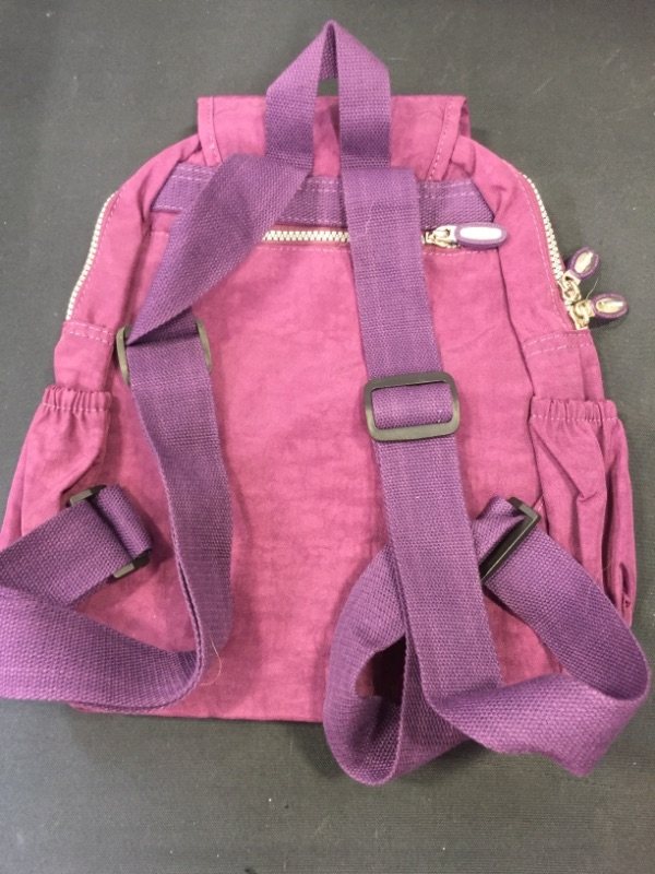 Photo 5 of AOTIAN Small Lightweight Nylon Casual Travel Hiking Daypack Backpack for Girls and Women - 9 Liters, COLOR PLUM PURPLE