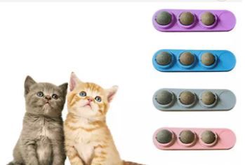 Photo 1 of 4 PCS CATNIP Ball Cat Toy