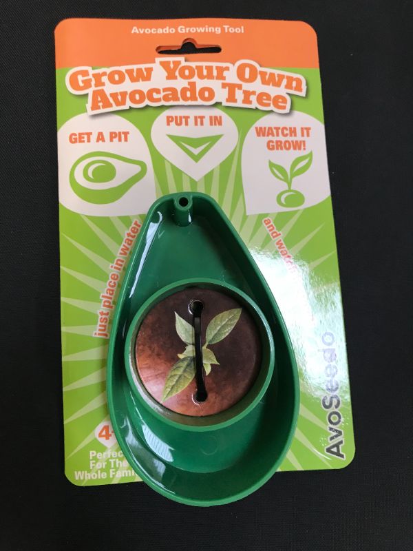 Photo 2 of AvoSeedo Avocado Tree Growing Kit, Green, Practical Gifts for Women, Mom, Sister & Best Friend, Plant Indoors with Novelty Pit Grower Boat & Kitchen Garden Seed Starter
