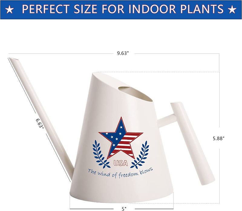 Photo 1 of Cesun 4th of July Decoration Watering Can for Indoor Plants with Long Spout - Stainless Steel Metal Watering Can, American Flag 30oz