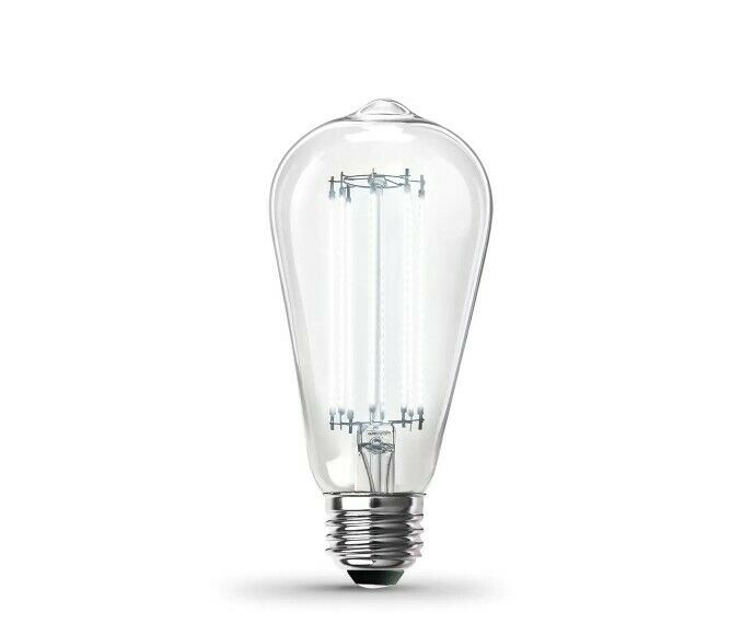 Photo 1 of Feit Electric 60-Watt Equivalent ST19 Dimmable Straight Filament Clear Glass
