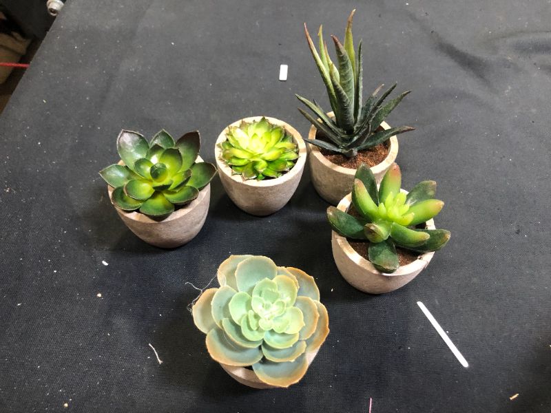 Photo 1 of Coitak Artificial Succulent Plants Potted, Assorted Decorative Faux Succulent Potted Fake Cactus Cacti Plants with Pots, Set of 5
