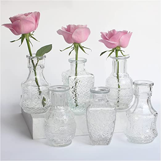 Photo 1 of 6 PC Sets Bud Vase Clear Glass Vases for Flowers Small Rustic Vases for Home Decor, Mini Bud Vases in Bulk Cute Glass Vases for Centerpieces