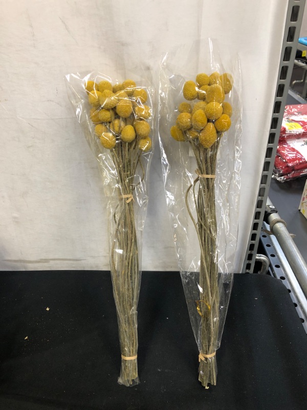Photo 2 of 32 Pcs Dried Flowers Dried Billy Balls Dried Craspedia Flowers Button Yellow Dried Flowers with Stems Fake Silk Dried Flower Bouquet Craspedia Flower Balls for Centerpieces Vase DIY Decor (0.6 Inch)
, 2 COUNT 