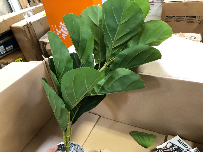 Photo 3 of BESAMENATURE 30" Little Artificial Fiddle Leaf Fig Tree / Faux Ficus Lyrata for Home Office Decoration, BENT 
