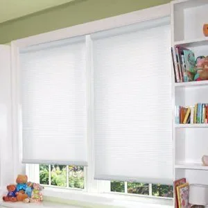 Photo 1 of Cordless pleated shades 28X64