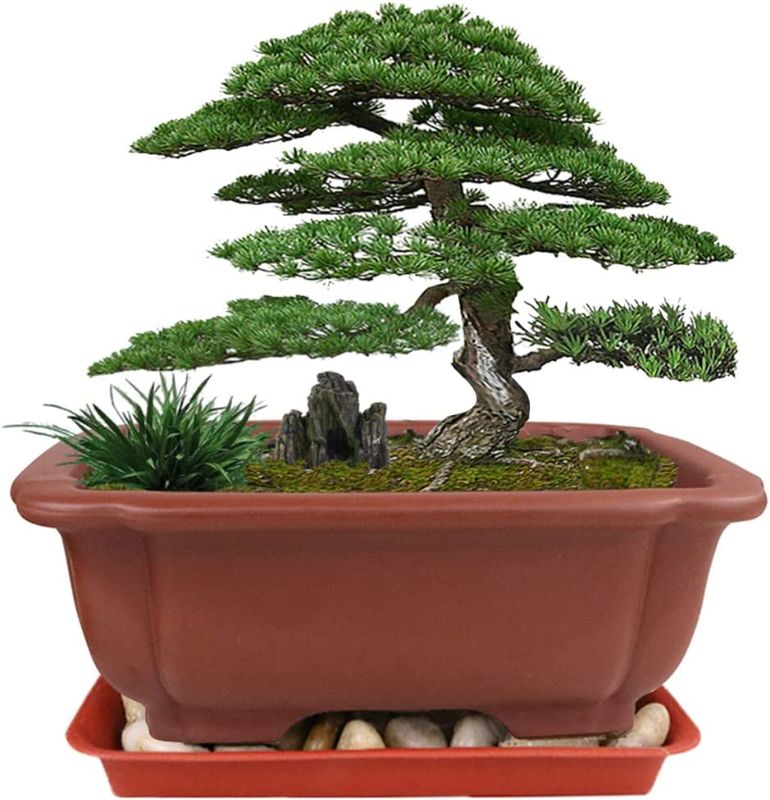 Photo 1 of 9” Bonsai Pot, MUZHI Large Zisha Bonsai Planter with Drainage Humidity Tray and Cobblestone, Rectangle