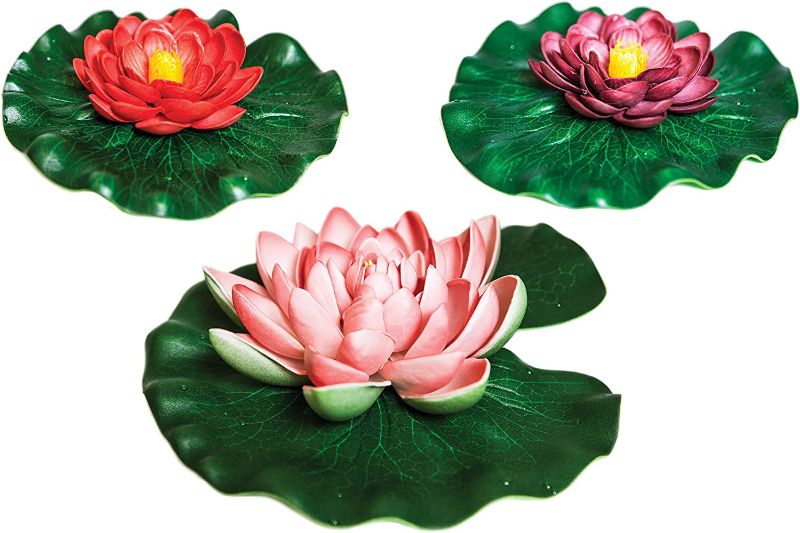 Photo 1 of AQUANIQUE Floating Lily Pad Variety Pack
