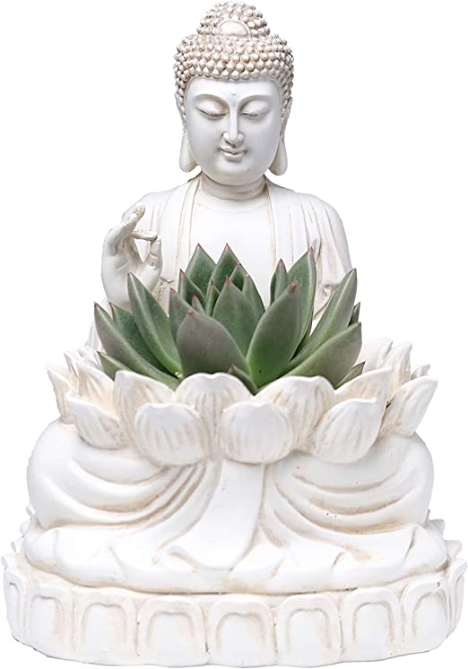 Photo 1 of Bella Haus Design Buddha Planter – 9.5" Tall Polyresin - Zen Plant Pot Holder for Succulent, Flower, Cactus - Garden Lotus Statue Indoor or Outdoor Decor
