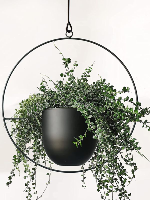 Photo 1 of Abetree Hanging Planter for Indoor Plants Metal Mid Century Minimalist Wall and Ceiling Hanging Plant Pot Holder for Home Décor
