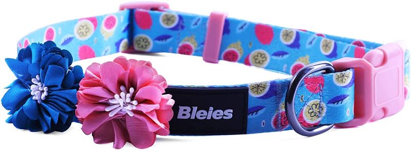 Photo 1 of  Dog Collar with Removable Decoration Flower, Cute Puppy Collar, Girl Dog Collars for Small Medium Large Dogs (Pitaya, M)