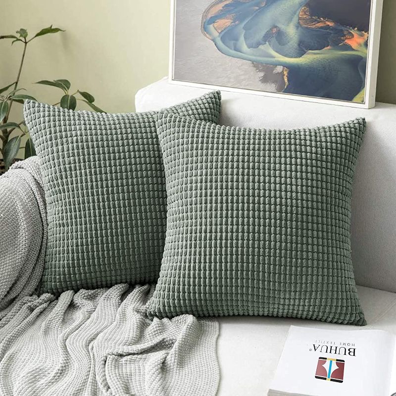 Photo 1 of BUHUA Set of 2 Decor Throw Pillow Covers Velvet Soft Solid Square Cream Cushion Case for Sofa Couch Living Room Bedroom Outdoor Pillowcases 18x18 Inch Dark Gray