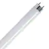 Photo 1 of 32-Watt 4 ft. T8 G13 Linear Fluorescent Tube Light Bulb, Cool White 4100K (2-Pack)
