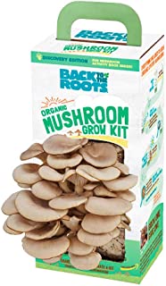 Photo 1 of Back to the Roots Organic Mushroom Farm Kit
