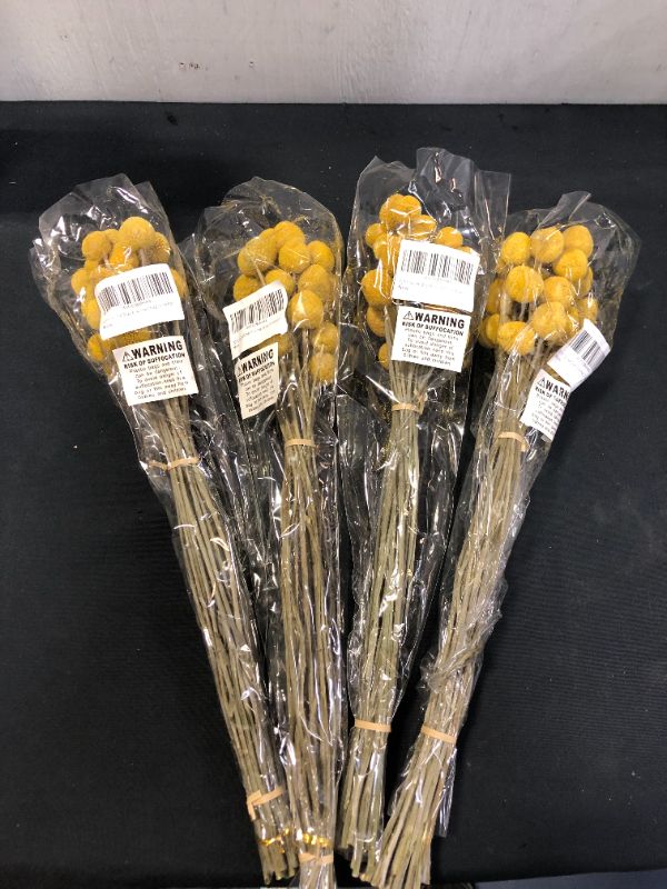 Photo 1 of 32Pcs Natural Dried Flowers Craspedia Billy Balls Flowers Billy Buttons Yellow Flowers (4 PACKS)