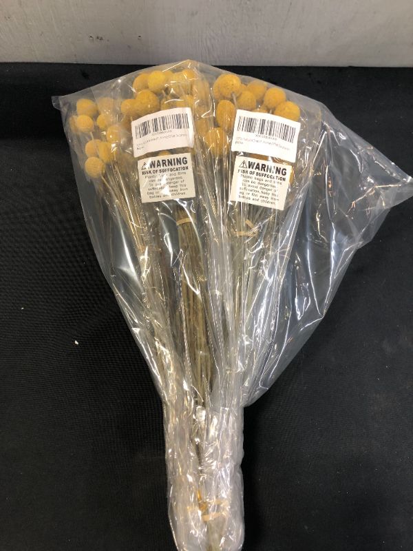 Photo 1 of 32Pcs Natural Dried Flowers Craspedia Billy Balls Flowers Billy Buttons Yellow Flowers (4 PACKS)