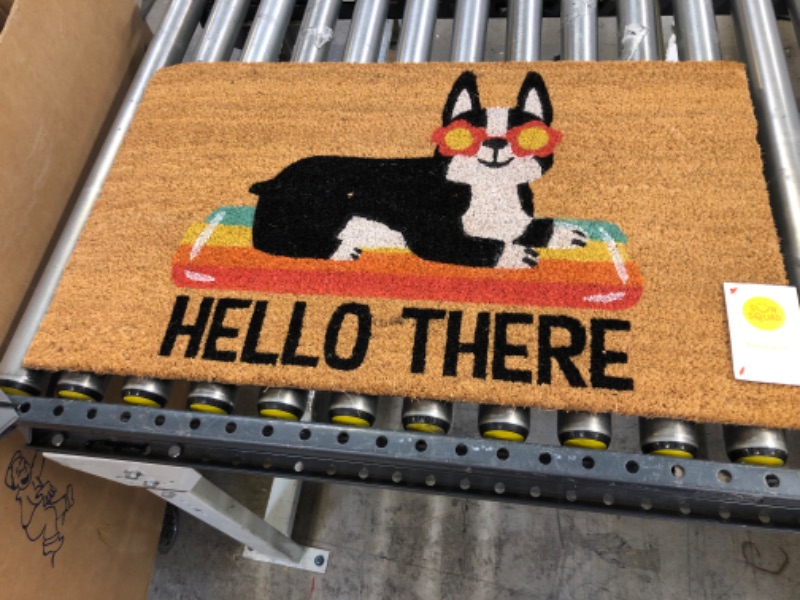 Photo 2 of 1'6"x2'6" Hello Summer Dog Doormat Natural - Sun Squad™


