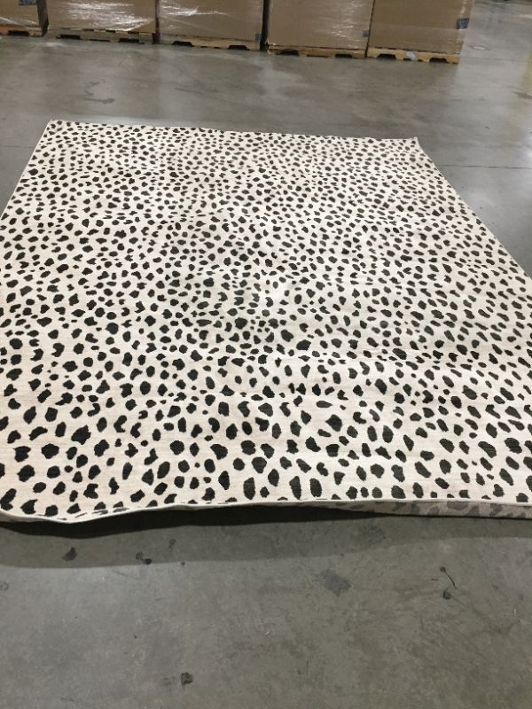 Photo 2 of 10'x13' Daffodil Leopard Print Woven Rug - Opalhouse™
