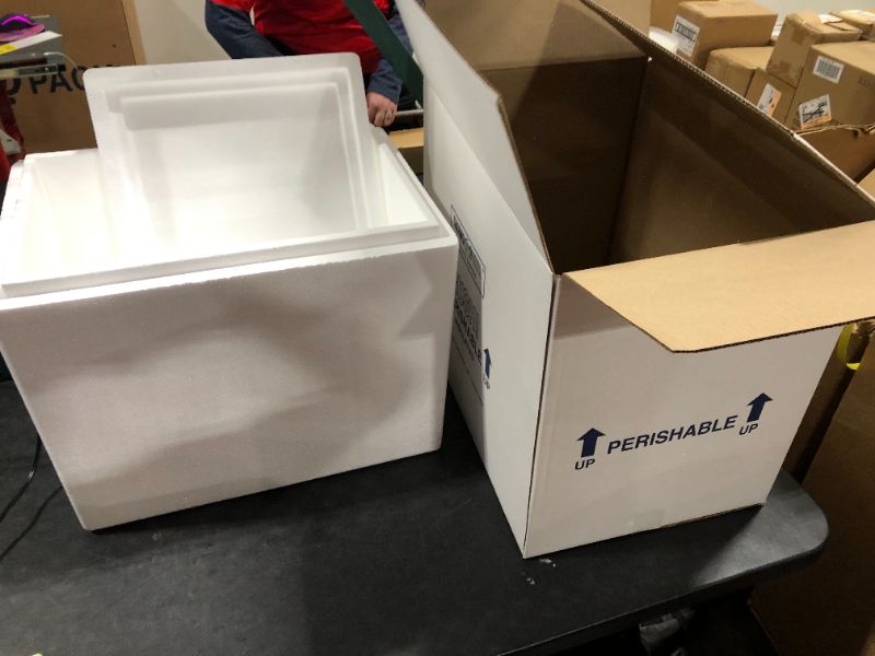 Photo 2 of 266C Thermo Chill Insulated Carton with Foam Shipper, Large, 19" Length x 12" Width x 16" Depth