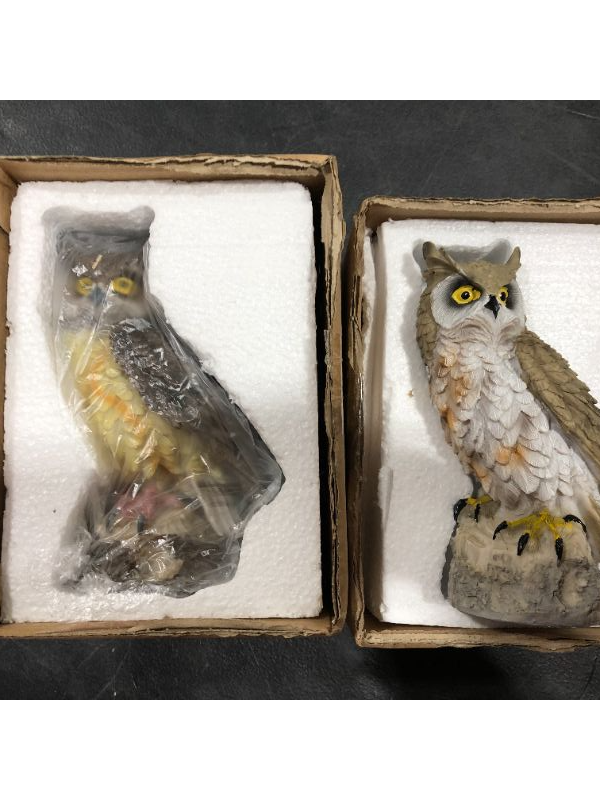 Photo 1 of 2-Pack Decorative Owls