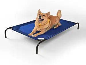 Photo 1 of Coolaroo The Original Cooling Elevated Pet Bed
 size large