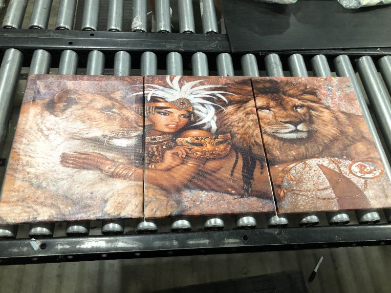 Photo 1 of 3 Panel Lion and Women Canvas Art 