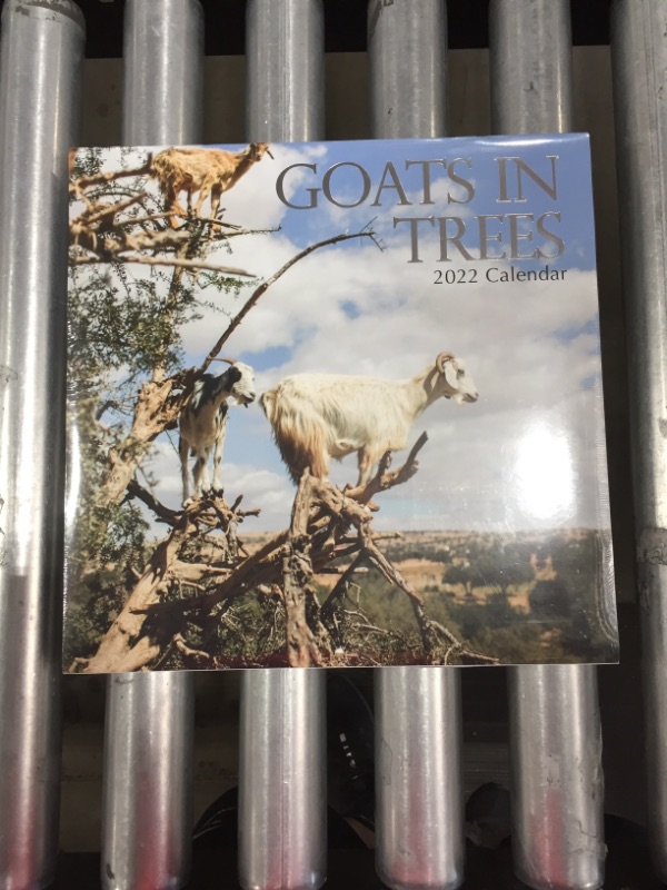 Photo 2 of 2022 Square Wall Calendar - Goats in Trees , 12 x 12 Inch Monthly View, 16-Month, Animals Theme, Includes 180 Reminder Stickers
