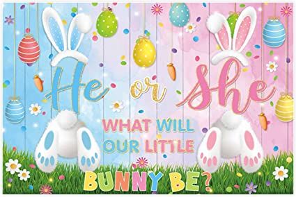 Photo 1 of Allenjoy 68" x 45" Easter Bunny Gender Reveal Backdrop He or She What Will Our Little Bunny Be Pregnancy Announcement Party Supply Banner Background Decor Photobooth Photoshoot Prop Gift Favors Fabric
