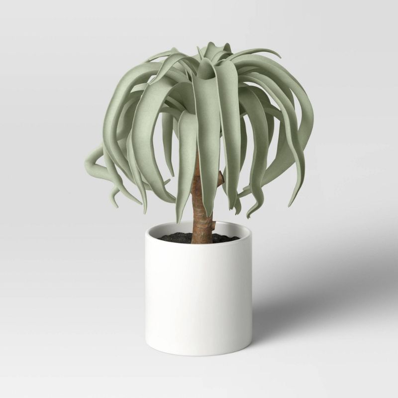 Photo 1 of 2 COUNT -Ponytail Palm - Threshold™
