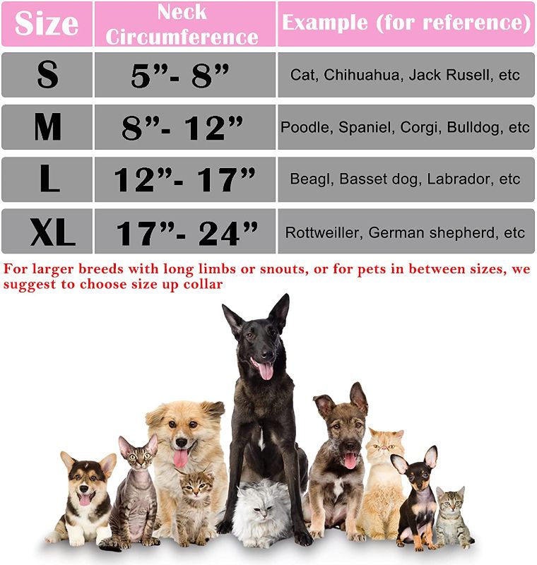 Photo 2 of [Size M] Katoggy Inflatable Dog Cone Collar for Soft Protective Recovery [Pink]