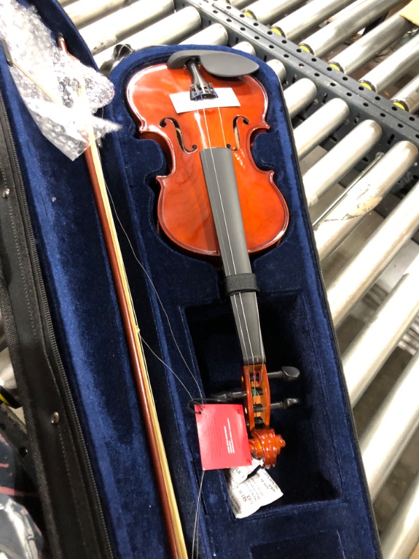 Photo 2 of Apollo 4/4-size Solidwood Violin with Ebony Fittings, Complete with case and D'Addario Prelude Strings
