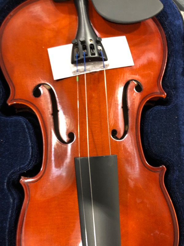 Photo 3 of Apollo 4/4-size Solidwood Violin with Ebony Fittings, Complete with case and D'Addario Prelude Strings
