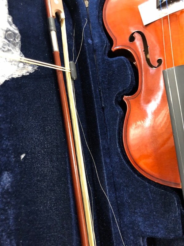 Photo 4 of Apollo 4/4-size Solidwood Violin with Ebony Fittings, Complete with case and D'Addario Prelude Strings
