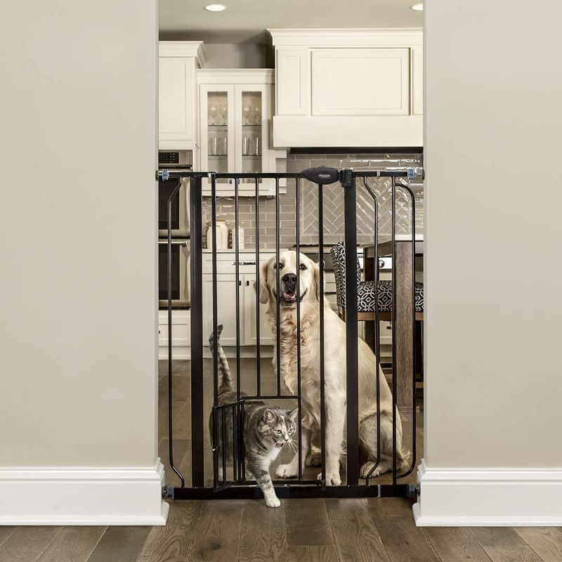 Photo 1 of Carlson Extra Tall Walk Through Pet Gate with Small Pet Door, Includes 4-Inch Extension Kit