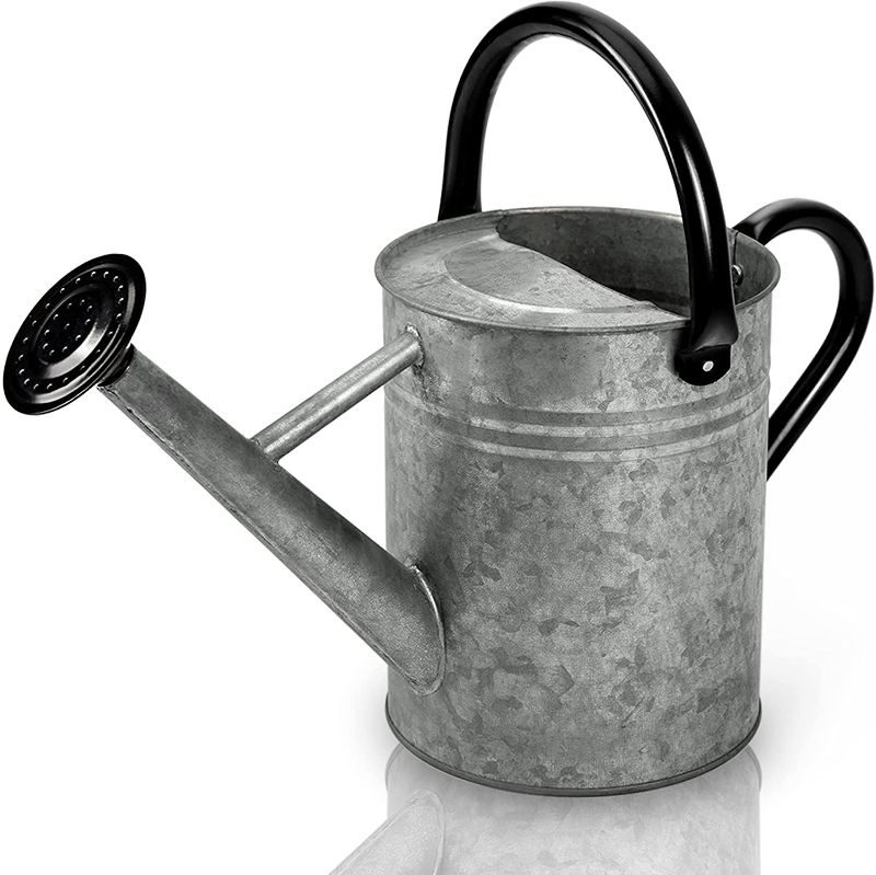 Photo 1 of Cesun Metal Watering Can 1 Gallon for Outdoors Plants, Galvanized Steel Watering Pot with Removable Spray Spout, Movable Upper Handle - Perfect for Outdoor Use (Vintage Zinc)