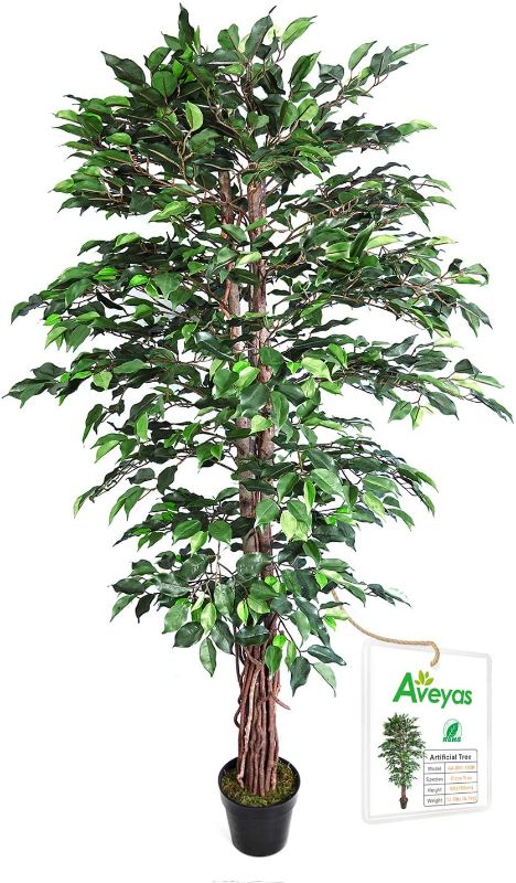 Photo 1 of Aveyas 6ft Artificial Ficus Silk Tree (72in) with Plastic Nursery Pot, Fake Plant for Office House Farmhouse Living Room Home Decor (Indoor / Outdoor)
