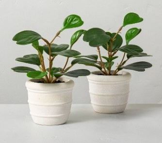 Photo 1 of 2ct Faux Mini Hoya Heart Potted Plant Set