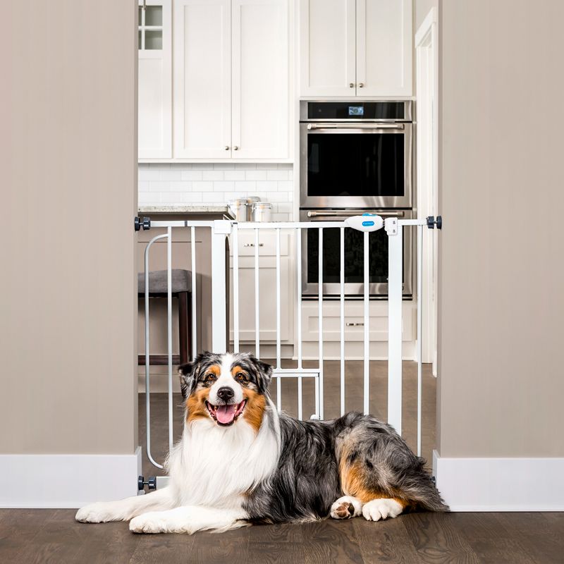 Photo 1 of Carlson Pet Products Extra Wide Walk-Thru Gate with Pet Door
