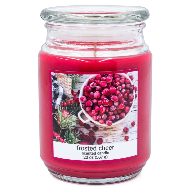 Photo 1 of **PACK OF FOUR CANDLES** 20oz Value Jar Frosted Cheer Candle
