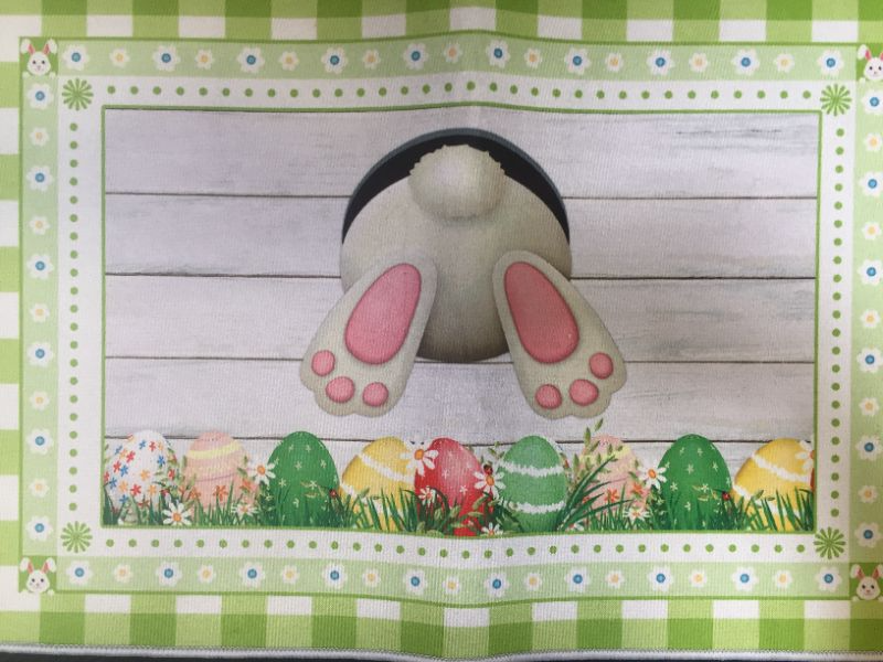 Photo 1 of 23"X16" ENGMOO EASTER DAY DOOR MAT