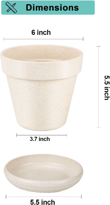 Photo 1 of 6 Inch Middle Off White Plastic Plant Pots - 6 Pcs Heavy Duty Plastic Flower Planter Pots with Drainage Hole and Saucers Perfect for Indoor Outdoor Plant Succulent
